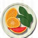 Icon representing healthy food, a balanced plate.